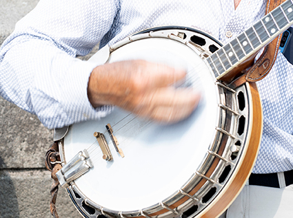 バンジョー科について