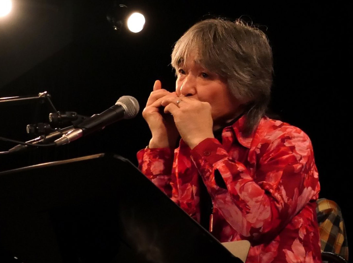 ハーモニカ科について